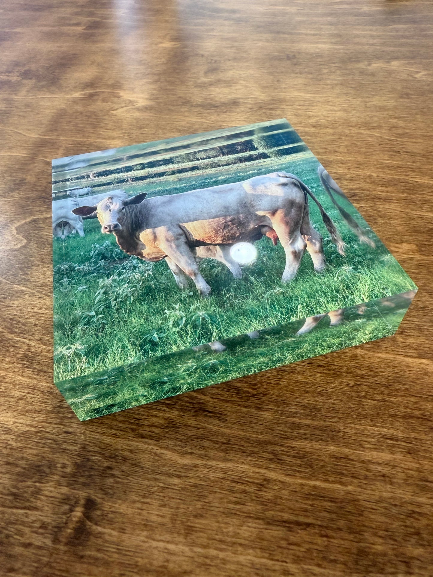 Custom Acrylic Photo Block