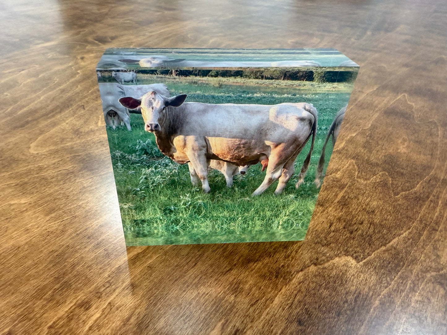Custom Acrylic Photo Block