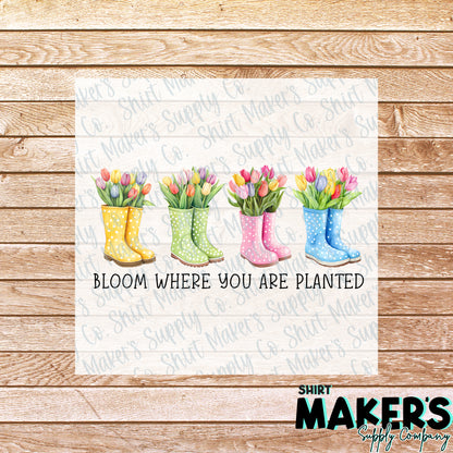 Bloom Where You are Planted DTF Transfer - or- Hat Patch, Acrylic, Magnet, or Keychain