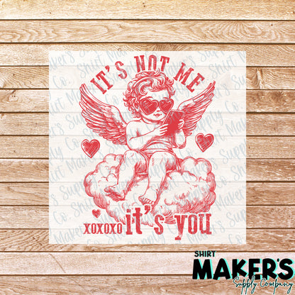 It's Not Me, It's You Anti Valentine's Day DTF Transfer - or- Hat Patch, Acrylic, Magnet, or Keychain